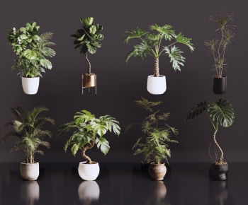 Modern Ground Green Plant Potted Plants-ID:959979065