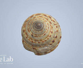 Modern Animal-ID:772835977