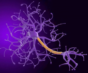 Modern Medical Equipment-ID:446767092