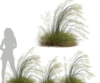 Modern The Grass-ID:357613094