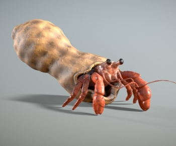 Modern Aquatic Animals-ID:816833971