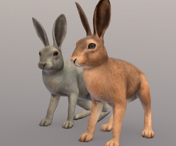 Modern Animal-ID:861690042