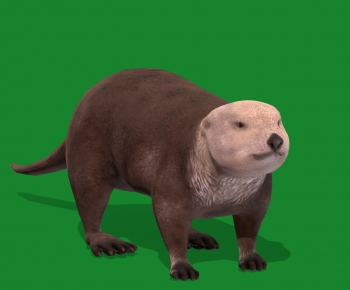 Modern Mammal-ID:473418958