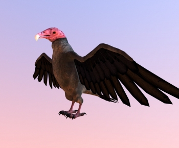 Modern Flying Animals-ID:435846096