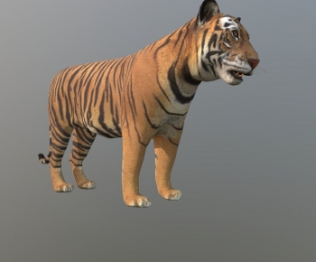 Modern Animal-ID:156912093