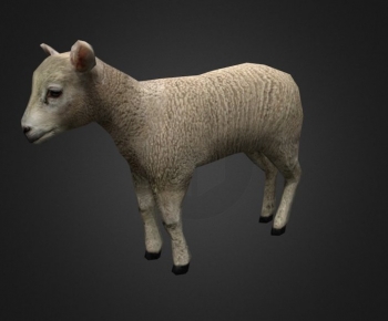 Modern Mammal-ID:254731289