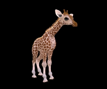 Modern Mammal-ID:627721079