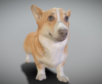 Modern Animal Dog-ID:886662966