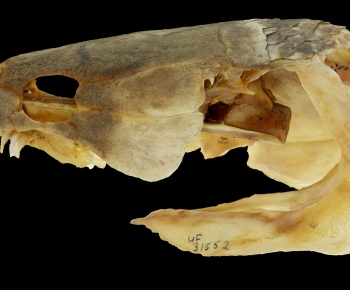 Modern Medical Equipment-ID:474200234