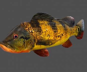 Modern Aquatic Product-ID:982520104