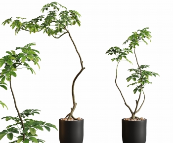 Modern Ground Green Plant Potted Plants-ID:889449167