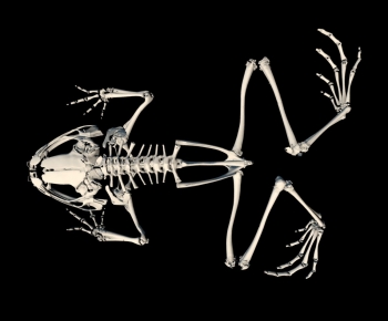 Modern Medical Equipment-ID:226907972