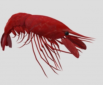 Modern Aquatic Product-ID:544943097
