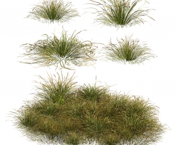 Modern The Grass-ID:973261122