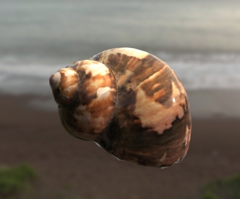 Modern Reptile-ID:417840963