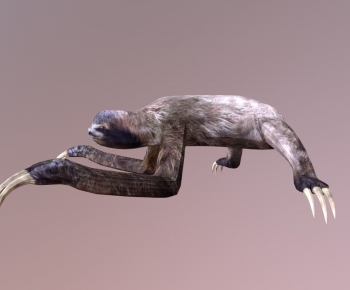 Modern Mammal-ID:584016083