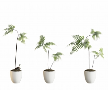 Modern Ground Green Plant Potted Plants-ID:679702043