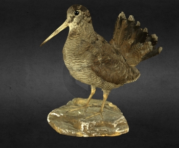 Modern Animal-ID:170855055