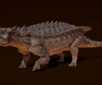 Modern Animal-ID:581623084