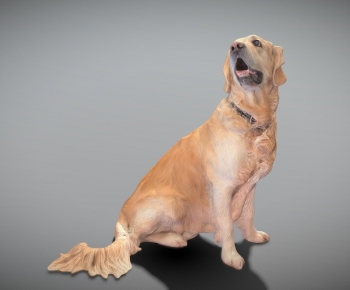 Modern Animal Dog-ID:681934125