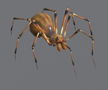 Modern Other Animals-ID:788573981