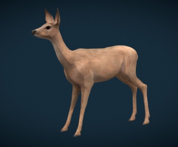 Modern Animal-ID:339118002