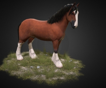 Modern Mammal-ID:151598937