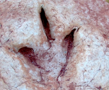 Modern Stone-ID:421792982