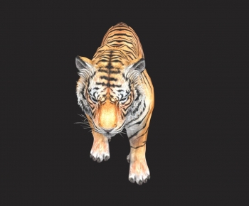 Modern Mammal-ID:300779102