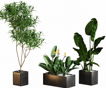 Modern Ground Green Plant Potted Plants-ID:558579926