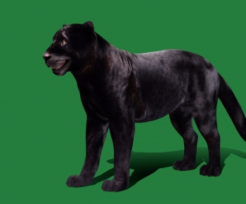 Modern Animal Dog-ID:482584003