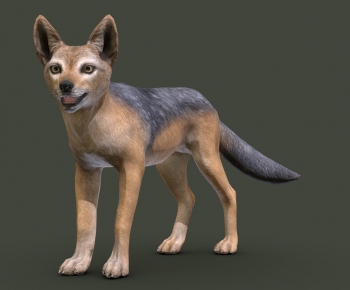 Modern Mammal-ID:374598034