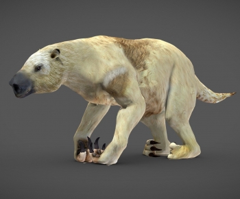 Modern Mammal-ID:452465064