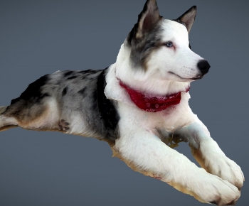 Modern Animal Dog-ID:534161091