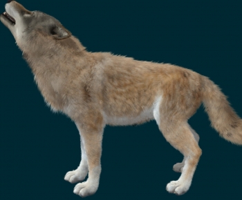 Modern Animal-ID:286453013