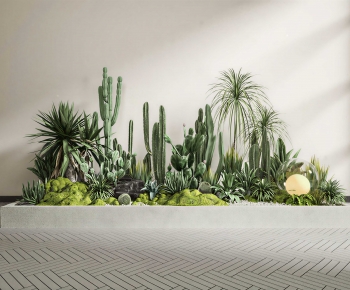 Modern Plant Landscaping-ID:955679894