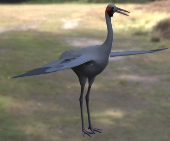 Modern Flying Animals-ID:152873992