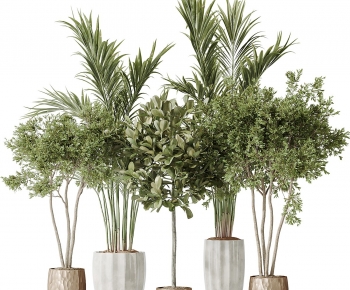 Modern Ground Green Plant Potted Plants-ID:650548932