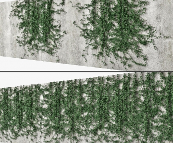 Modern Vine-ID:636594061