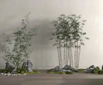 Modern Bamboo-ID:559420118