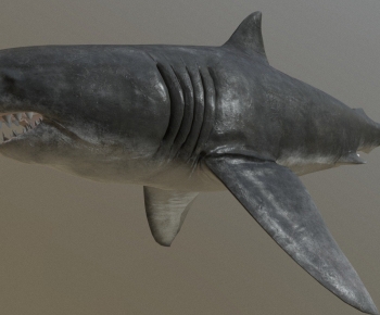 Modern Aquatic Animals-ID:465456014