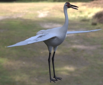 Modern Flying Animals-ID:528410913