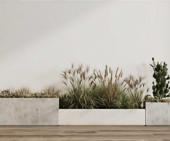Modern Plant Landscaping-ID:284250029