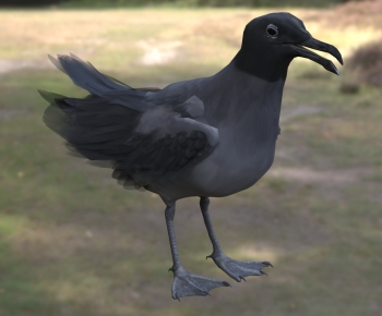 Modern Flying Animals-ID:805344107