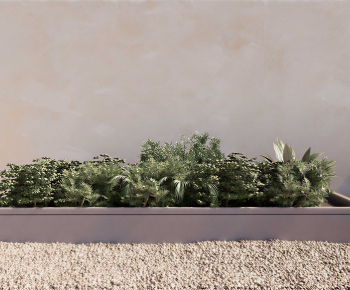 Modern Plant Landscaping-ID:218180891