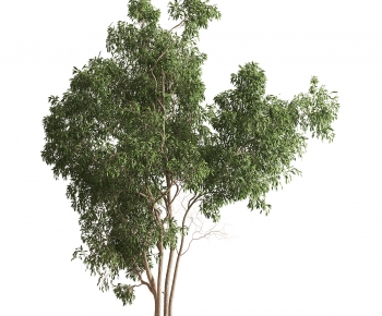 Modern Tree-ID:642537125