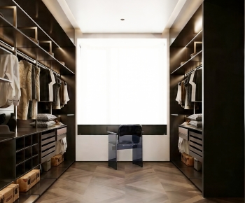 Modern Clothes Storage Area-ID:784686091