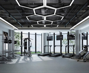 Modern Gym-ID:410430911