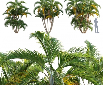 Modern Tree-ID:512412072