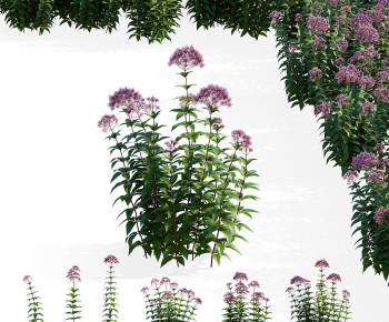 Modern Flowers And Grass-ID:221153973